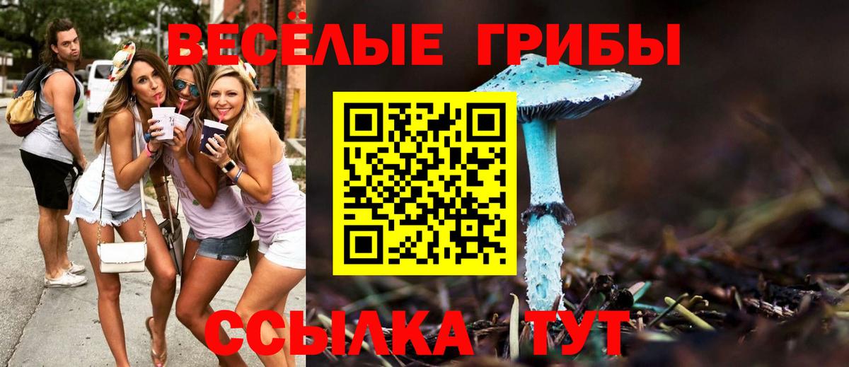 Галлюциногенные грибы Cubensis  Вход с VPN  Губкинский 