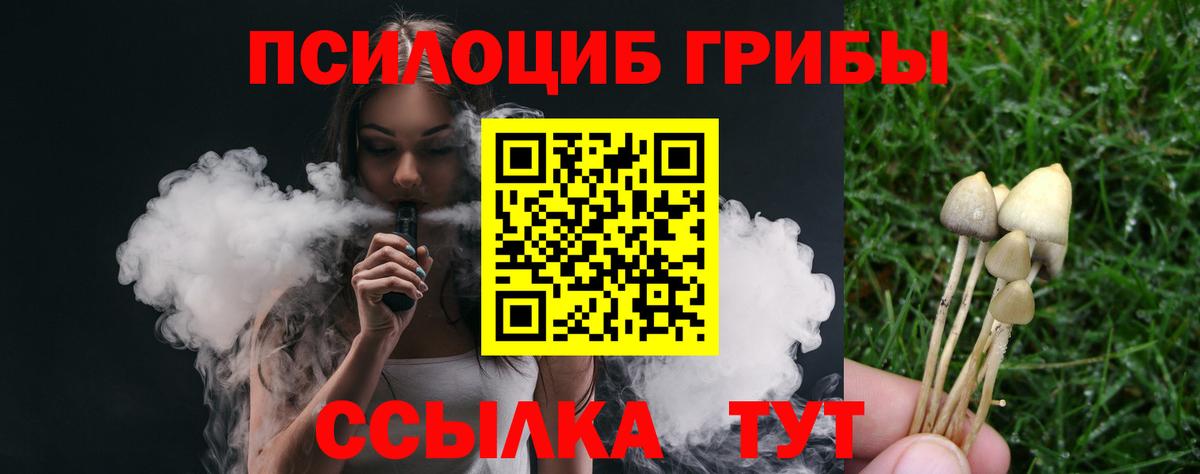 Псилоцибиновые грибы мухоморы Губкинский