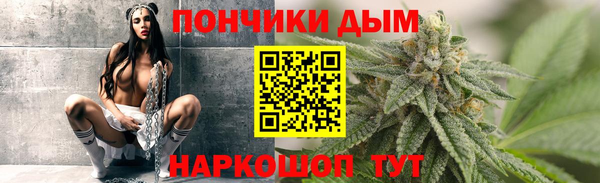 Бошки Шишки семена Губкинский